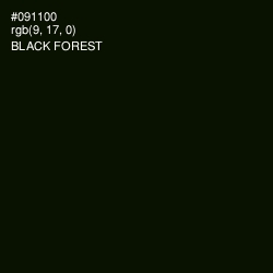 #091100 - Black Forest Color Image